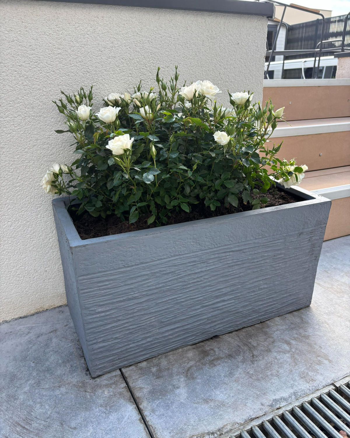 KVĚTINÁČ šedý obdélníkový 60/29/30 cm Myra - šedá, přírodní materiály (30cm) - Beliani