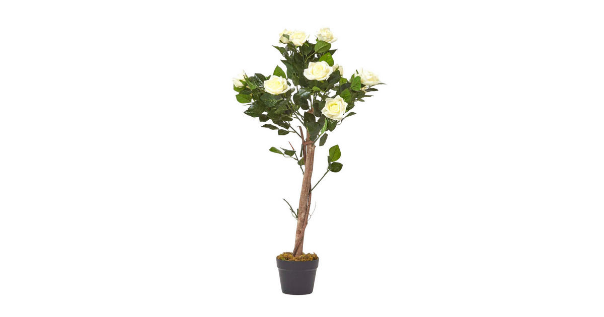 Homescapes KUNSTBAUM Rosenstock wei, 90 cm online entdecken  XXXLutz.at