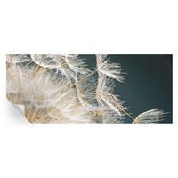FOTOTAPETE 250x104 cm - Löwenzahn der Leichtigkeit - Weiß, Textil (250/104cm) - Wallfluent