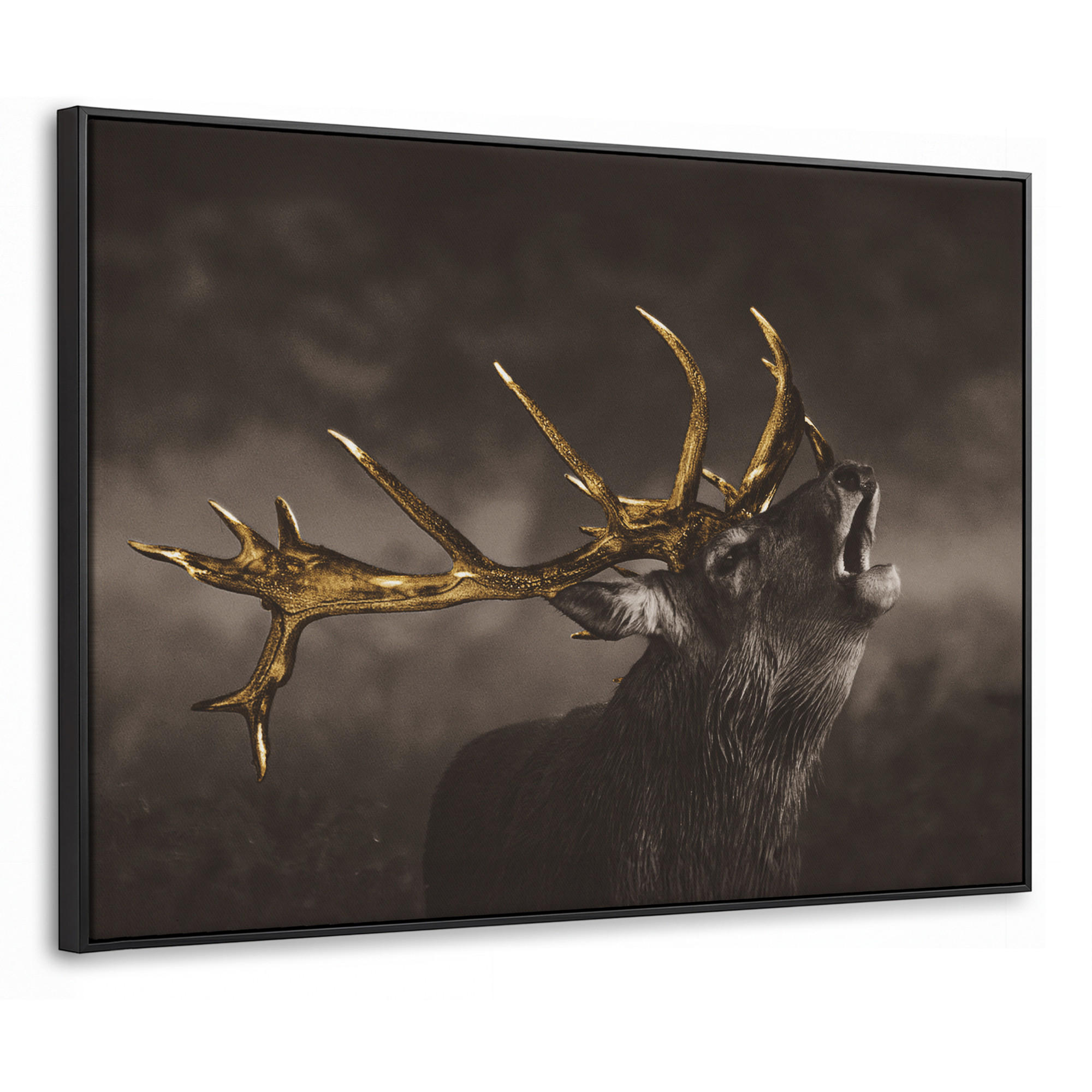 MuchoWow Leinwand Braun 80x60 cm