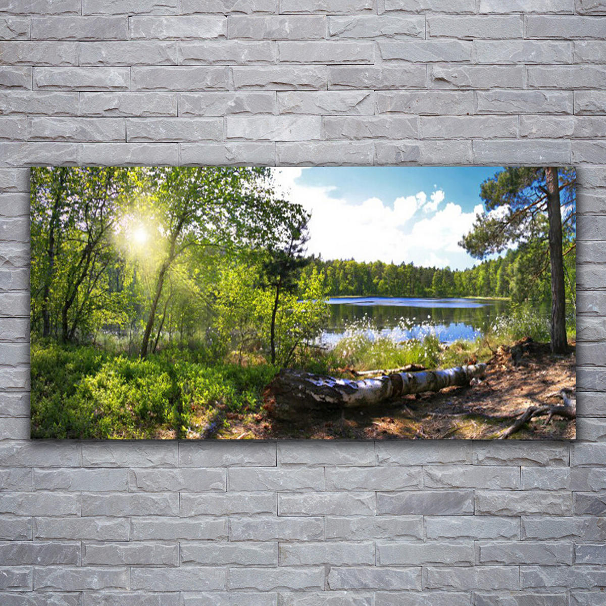 LEINWANDBILD 120x60 cm See im Wald - Hellblau/Grau, Textil (120/4cm) - TULUP