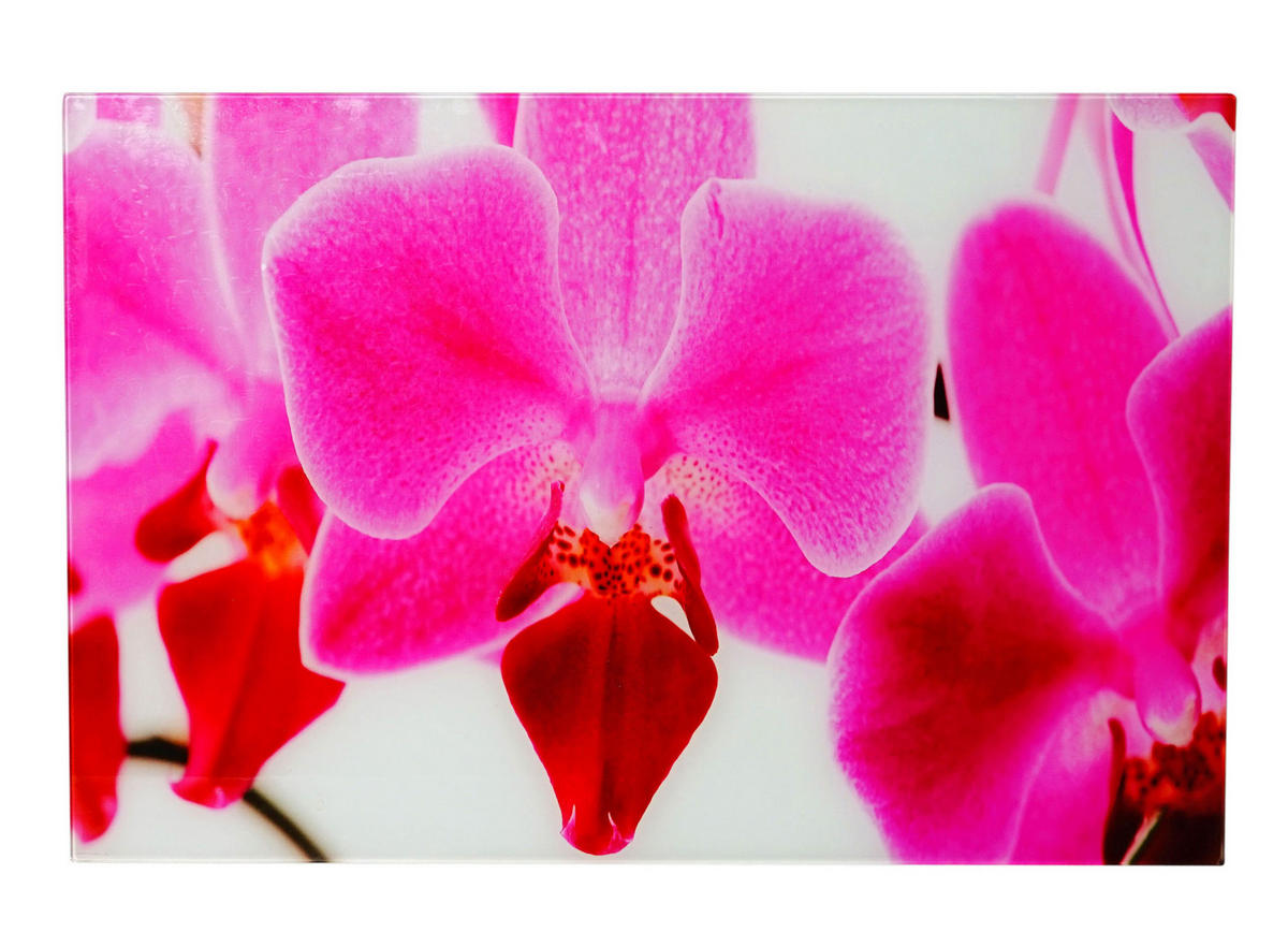 GLASBILD ORCHIDEE Multicolor - Multicolor, Glas (60/40cm) - MCW