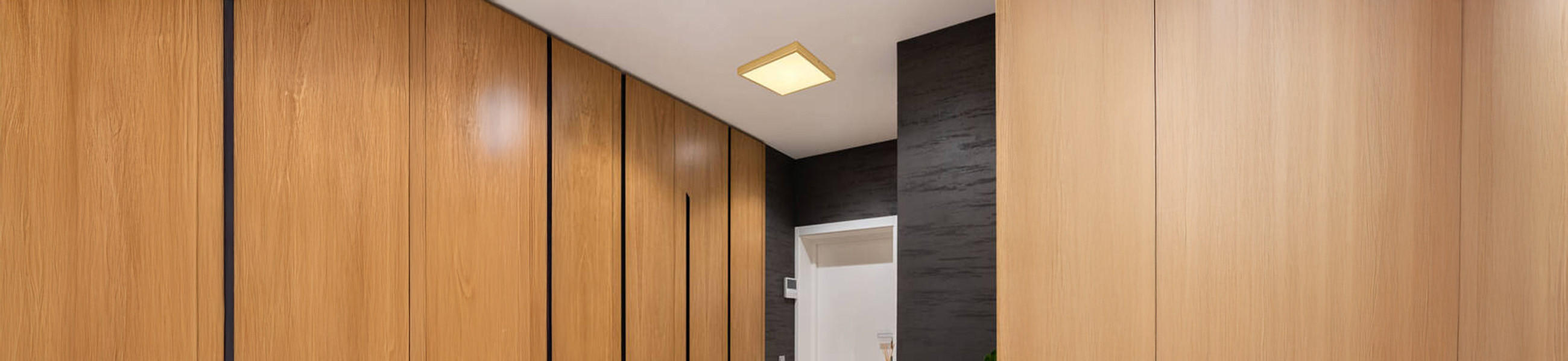 Kellerlampe an der Decke eines Raumes mit Holzverkleidung und weißer Tür vor dunkler Wand.