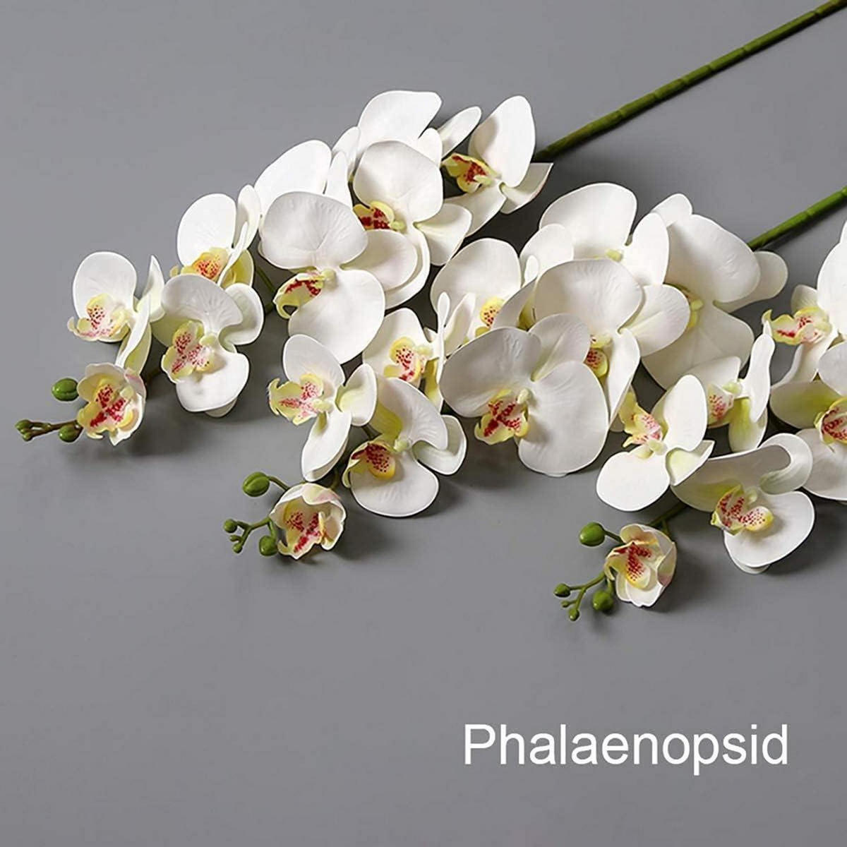KÜNSTLICHE Orchidee 87.8 cm Weiß 4 PCS - Weiß, Kunststoff (73cm)