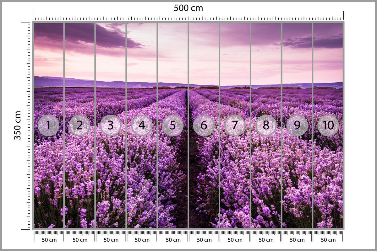 FOTOTAPETA Pre Spálňu Fialová Levanduľa Lúka Harmonická Romantická 500 x 350 cm - lila/ružová, papier (500/350cm) - Muralo