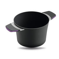 KOCHTOPF INDUKTION ⌀20cm - AUBERGINE - Aubergine, Metall (20cm) - Gastrolux