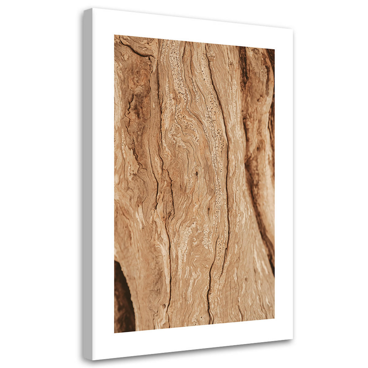 WANDBILD baum ohne rinde - Beige, Textil (40/60cm) - Feeby