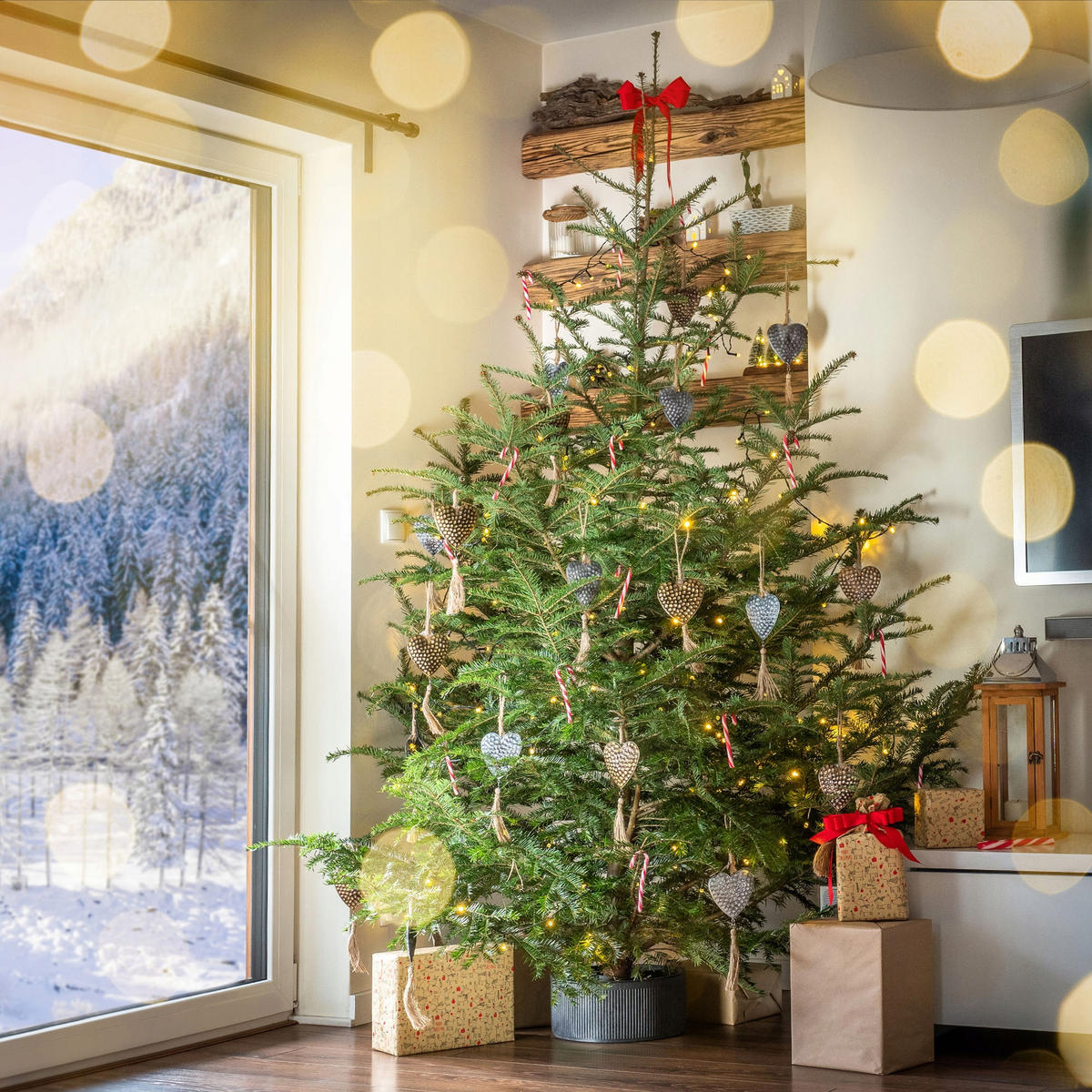 KADAX Großer Weihnachtsbaumständer, Weihnachtsbaumständer, 2,5 m - Grün, Kunststoff (25.4cm) - KADAX