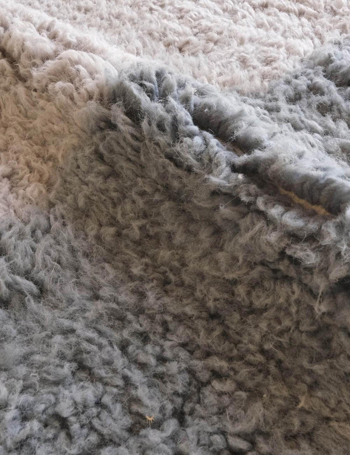 BERBERTEPPICH schlicht modern 310x 403 cm - Blau, Naturmaterialien (310/403cm) - AFK Living