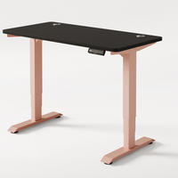 SCHREIBTISCH Elektrisch Höhenverstellbarer HomePro 120x60cm Rosa/Schwarz mit Memory-Funktion, Anti-Kollisions Technologie - Pink/Schwarz, Holzwerkstoff (60/120/72cm) - Desktronic