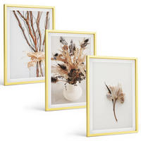 BILDER SET 3er Set - 40x60 cm Goldrahmen - Blumenzweige minimalistisch - Goldfarben, Kunststoff (40/60cm) - TULUP