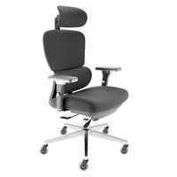 BÜROSTUHL ProSeat Schwarz - Silberfarben/Schwarz, Kunststoff/Textil (70/145/70cm) - Clouvou
