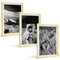 BILDER SET 3er Set - 40x60 cm Goldrahmen - NASA-Fotos vom Mond Astronaut - Goldfarben, Kunststoff (40/60cm) - TULUP