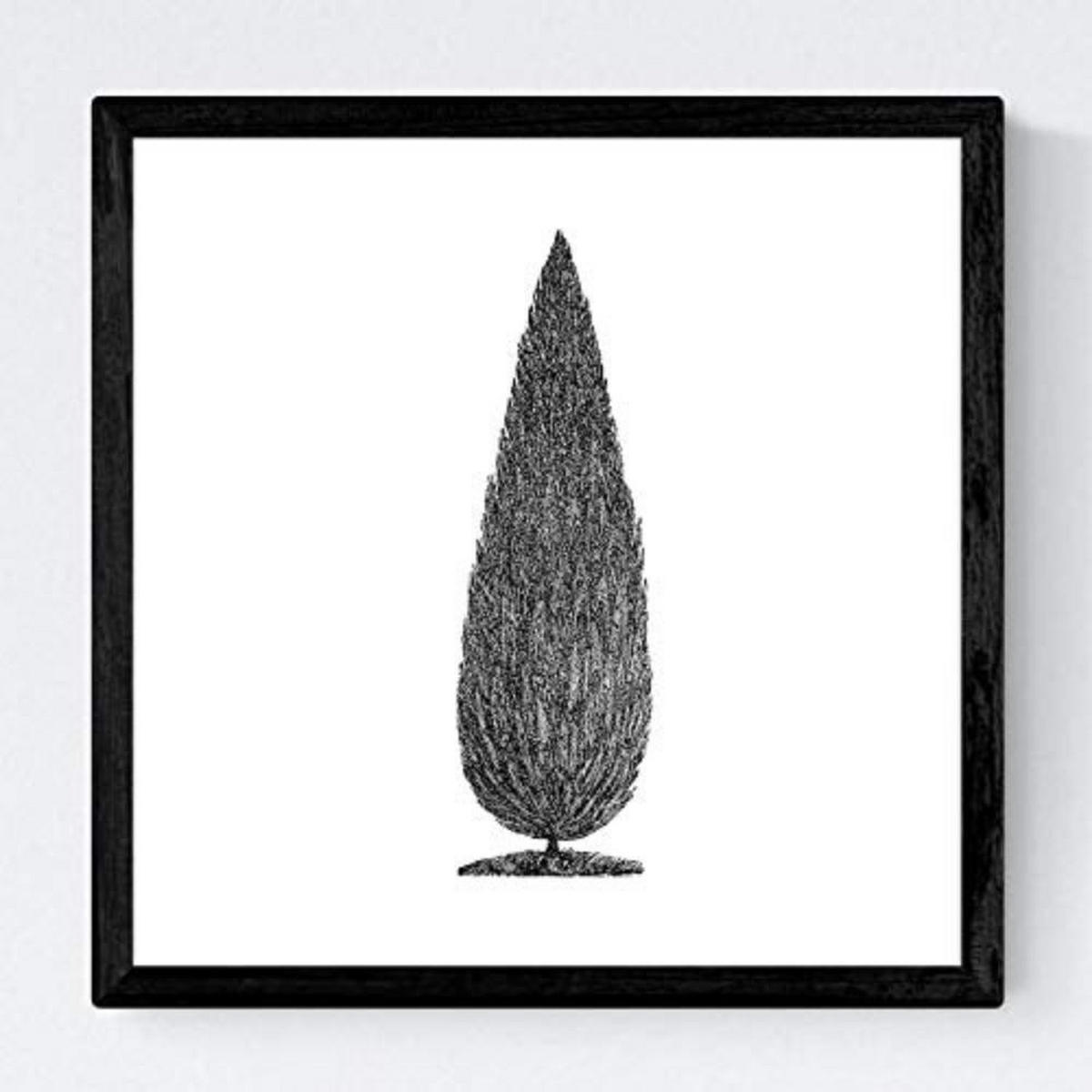 POSTER Set mit 4 Blättern der Bäume in weiß 20x20cm Schwarzer Rahmen - Schwarz, Papier (20/3cm) - Nacnic