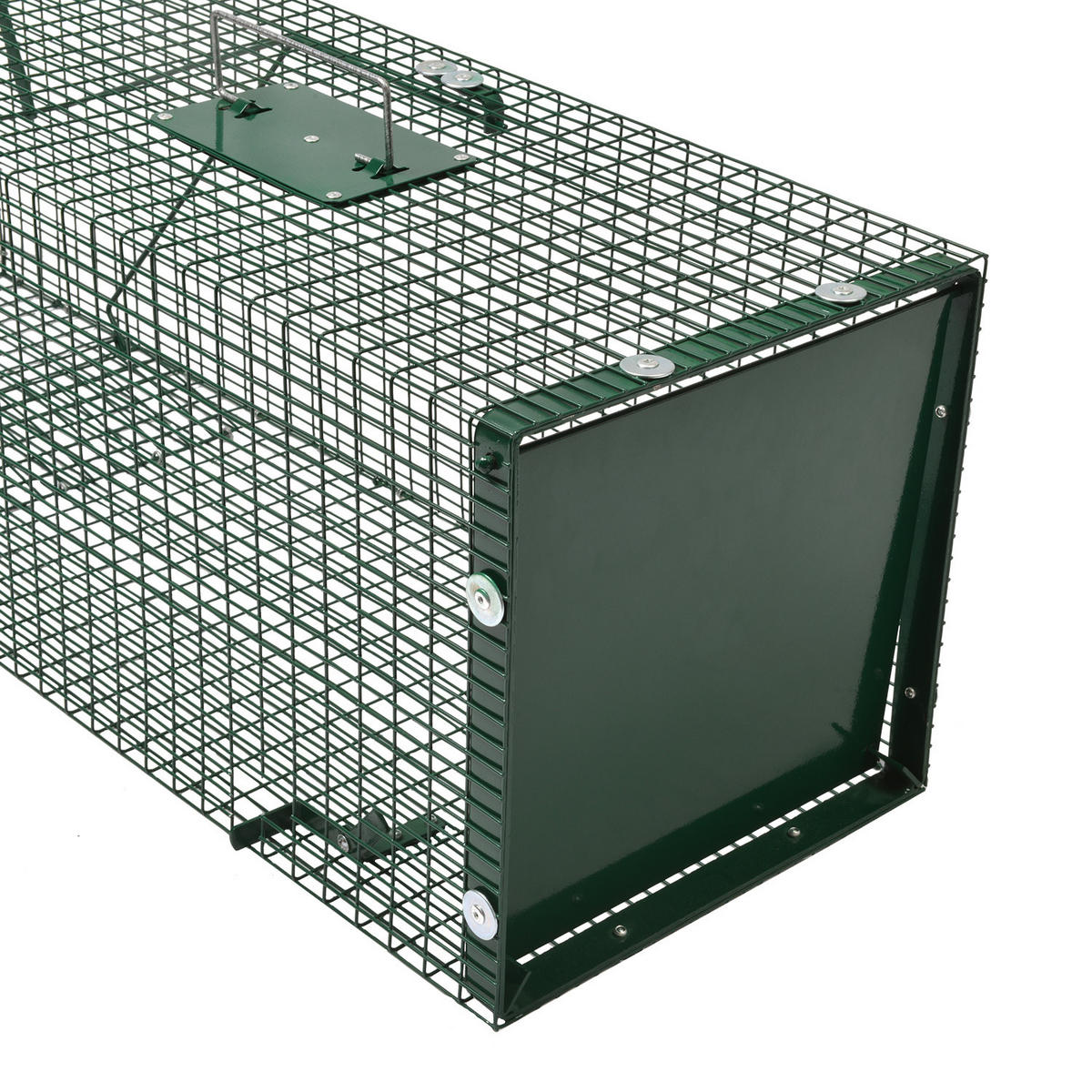 MOORLAND Safe 5002 Lebendfalle 30x30x90 cm – 1 Eingang, 1,8 mm Drahtgitter (RAL 6005) - Grün, Holz (30/30/90cm) - Moorland