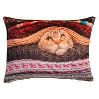 KISSENHÜLLE Kurzplüsch Fotodruck Katze 40/60 cm - Braun, Textil (40/60cm) - TiborTex