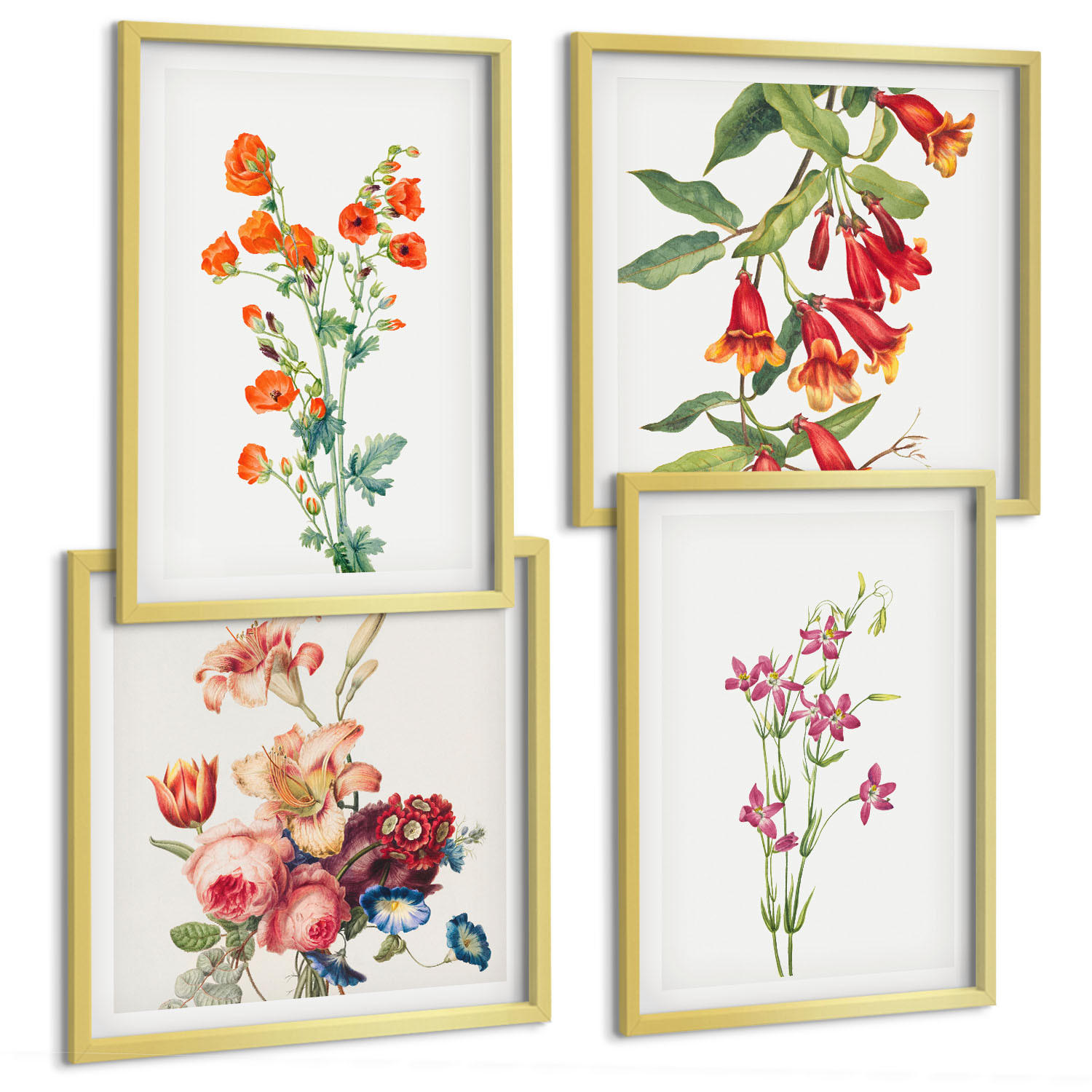 BILDER SET 4er Set - 50x50 cm & 40x60 cm Goldrahmen - Blumenmalerei im Retro-Stil - Goldfarben, Kunststoff (50/50cm) - TULUP