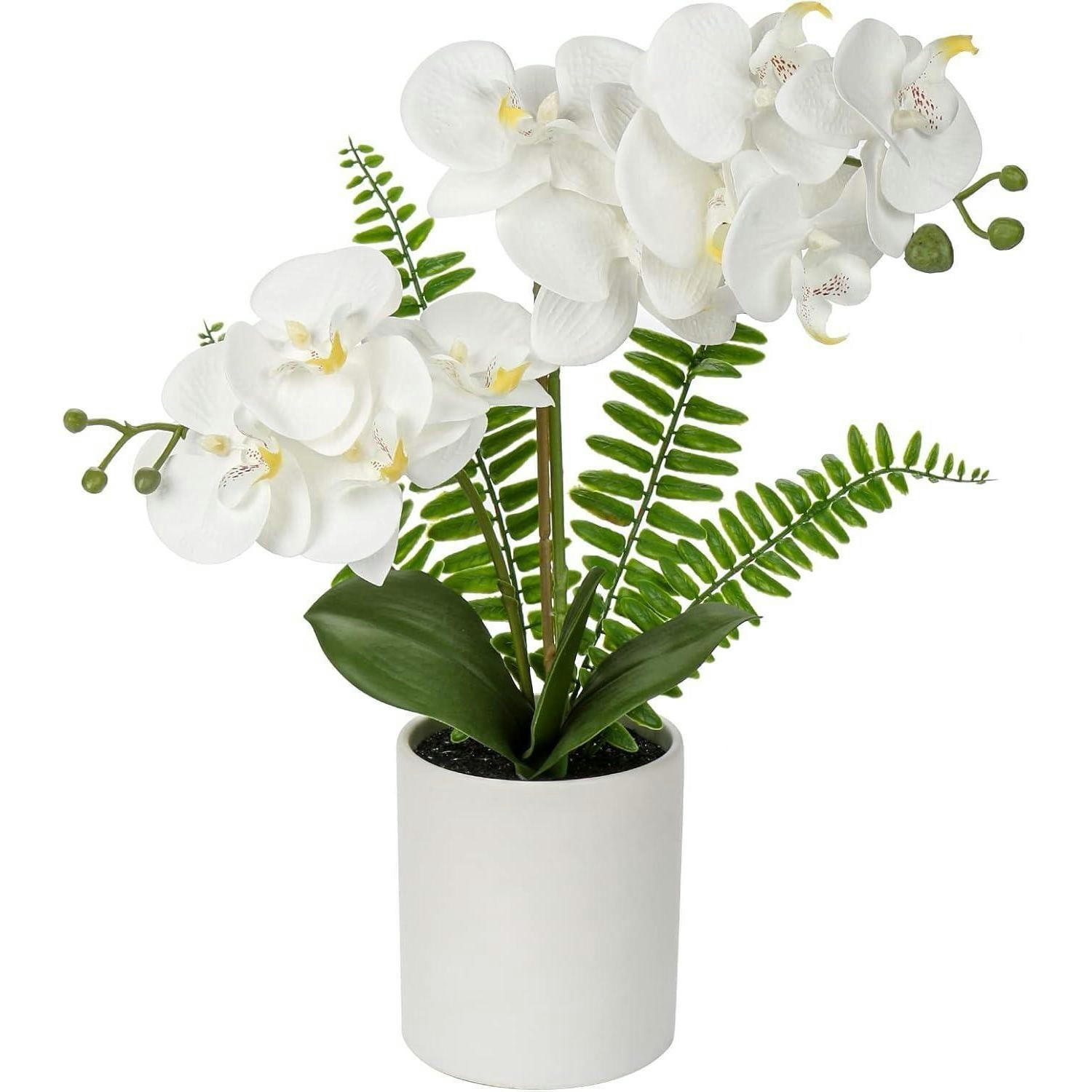 XXXLutz Kunstblume Mehrfarbig 40 cm