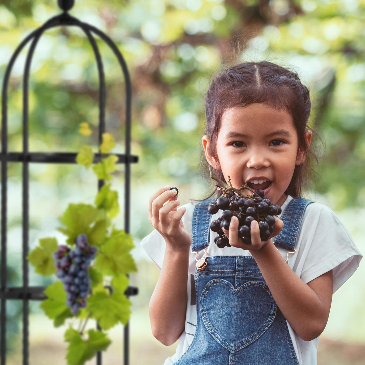 2XRANKHILFE - Schwarz, Kunststoff/Metall (25/100/25cm) - Relaxdays