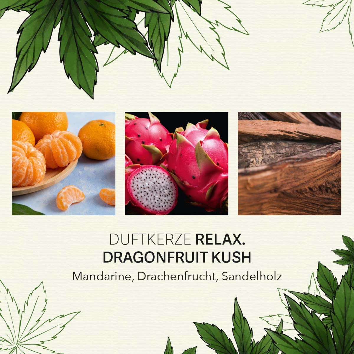 C.B.D. Duftkerze - Dunkelgrün, Naturmaterialien/Glas (9.5cm)