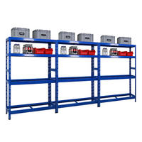 REIFENREGAL Tiger 3er-Set 180x120x40 cm bis zu 12 Reifen auf 2 Ebenen mit 2 Fachboden Blau - Blau, Metall (360/180/40cm) - PROREGAL