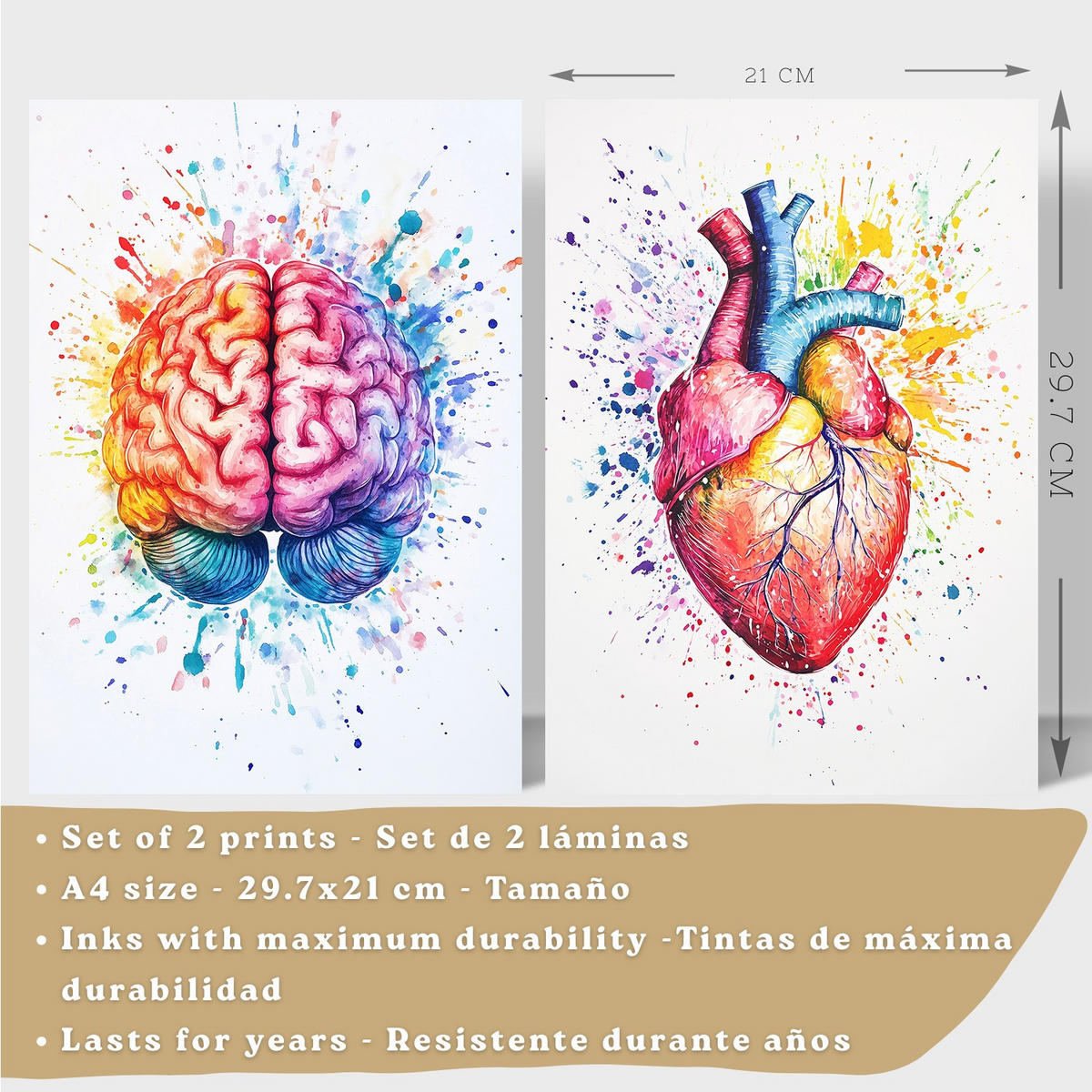 POSTER Set aus 2 Anatomie Drucke und Wandbilder mit Gehirn und Herz Künstlerische Mehrfarbig Aquarell Illustration Wanddekoration Größe Rahmenlos A4 - Klar, Papier (21/29.7/3cm) - Nacnic