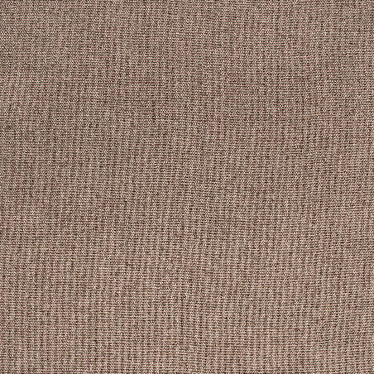 ROHOVÁ SEDAČKA ve tvaru L s funkcí spaní, Nexi, Taupe, Levá strana, BELVEDER L - šedohnědá, dřevo (250/168cm) - Kaiser Möbel