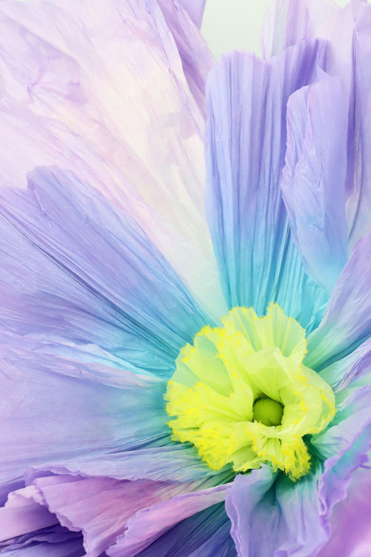 RIESENBLUME Fleur Fantastique lila - Lila, Papier (172cm) - FURNARO