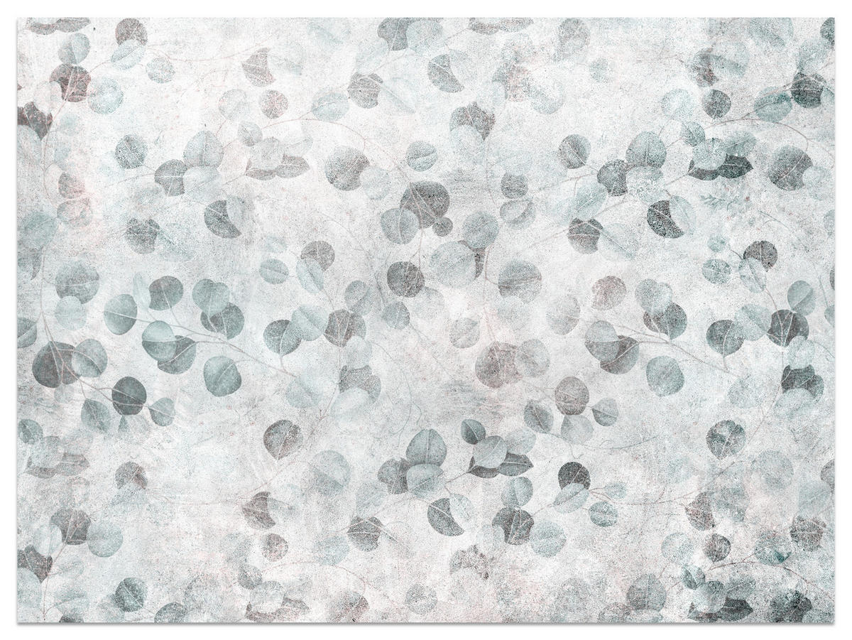 FOTOTAPETE für Küche Eukalyptus Blätter Beton Pflanzen Vintage Grau 250x175 - Grau, Papier (250/175cm) - Muralo
