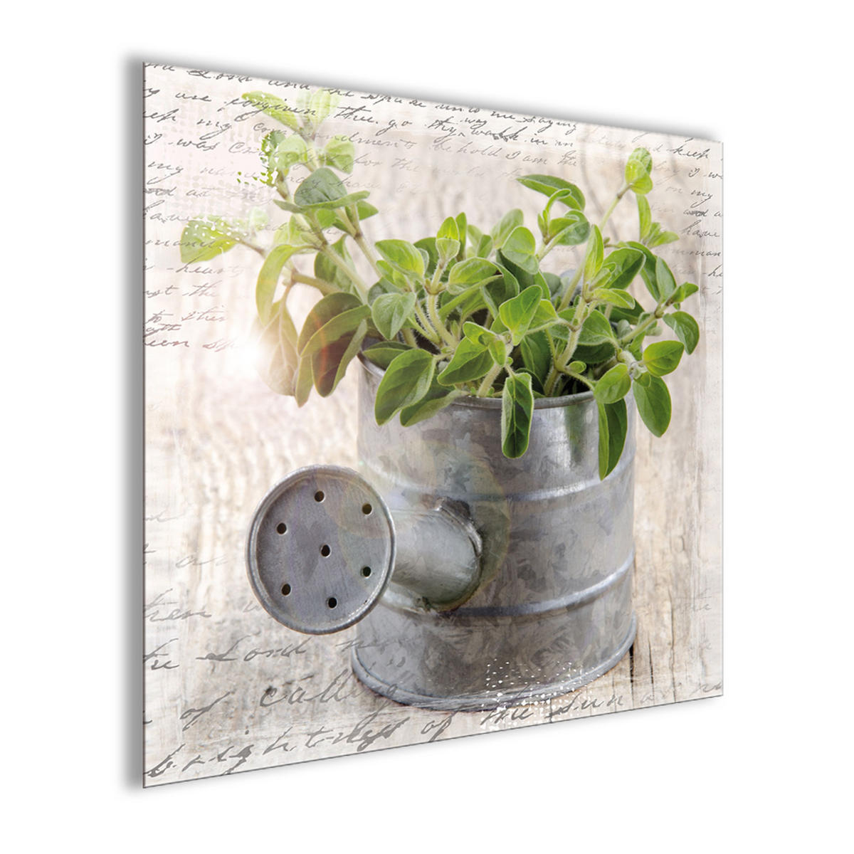 GLASBILD 30x30 cm Küche Kräuter - Anthrazit, Glas (30/30cm) - artissimo