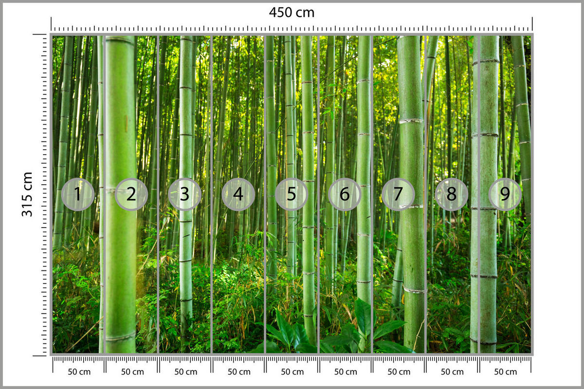FOTOTAPETA Bambusový Les Rastliny Príroda 3D 450 x 315 cm - žltá/zelená, papier (450/315cm) - Muralo
