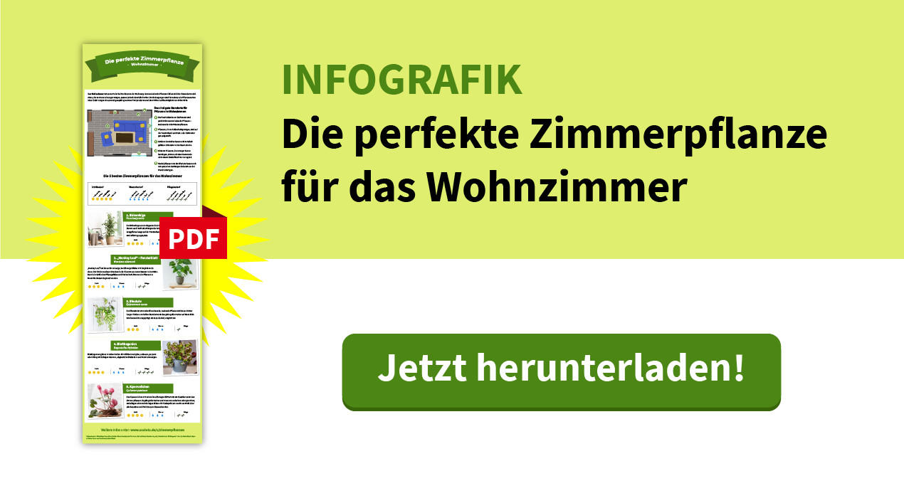 Download Infografik Wohnzimmer, Die passende Pflanze für jedes Zimmer XXXLutz