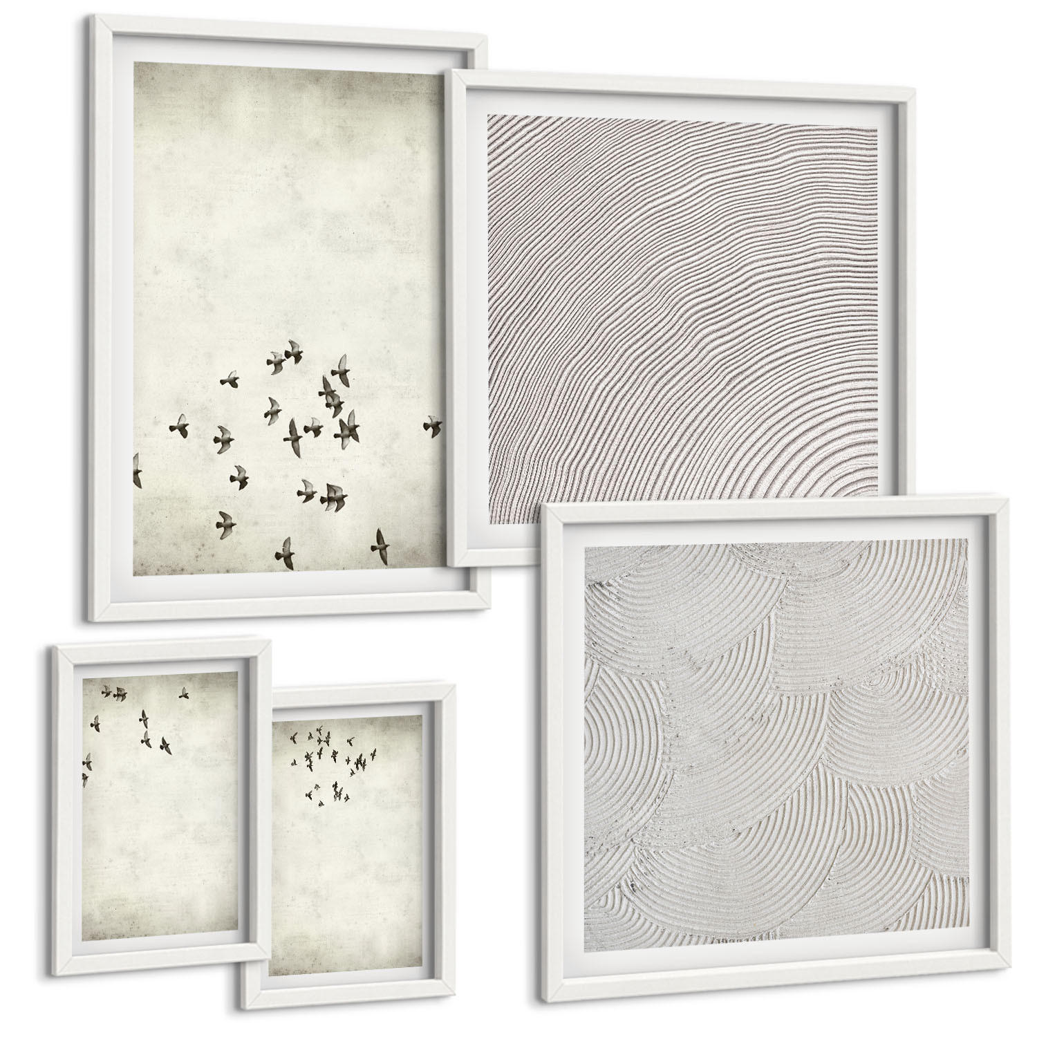BILDER SET 5er Set - 50x50 cm & 20x30 cm & 40x60 cm Weißer Rahmen - Minimalistische Vogelmalerei - Weiß, Kunststoff (40/60cm) - TULUP
