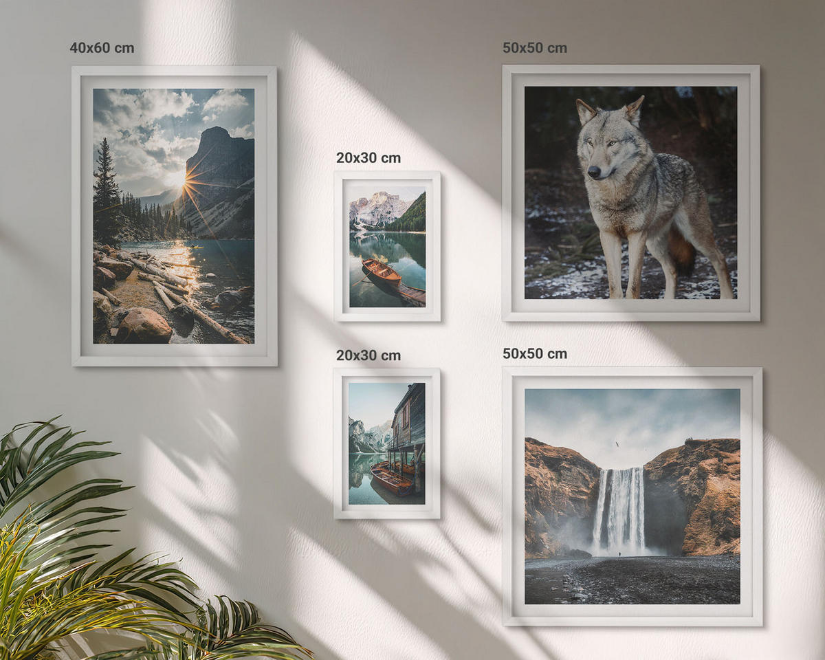 WANDBILDER 5er-Set - 50x50 cm & 20x30 cm & 40x60 cm Weißer Rahmen - Berge, Seen, Wasserfall, Wolf - Weiß, Kunststoff (40/60cm) - ArtPrintCave