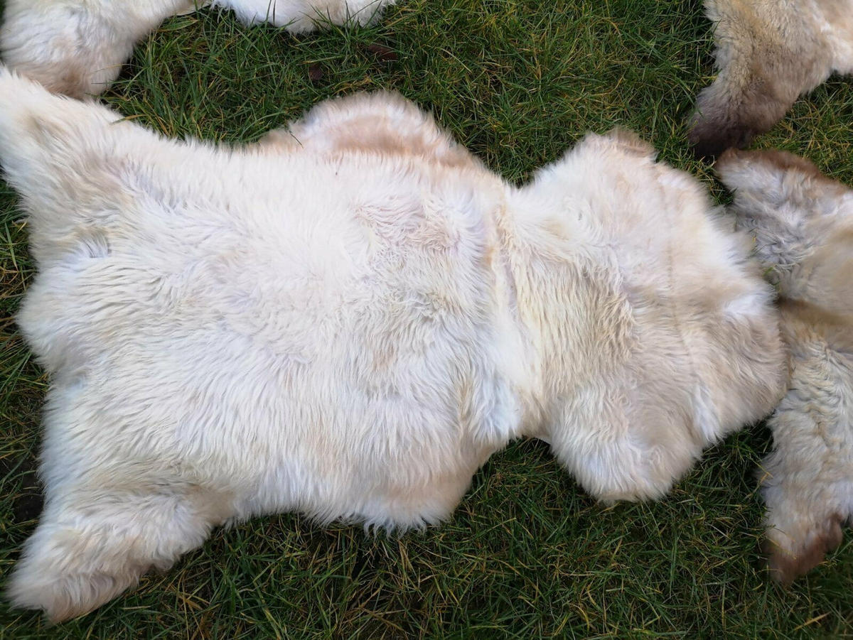 SCHAFFELL Lammfell natur meliert extra weich, ca. 110 cm, 3 Stück - Weiß/Naturfarben, Fell (60/110cm) - Provellus