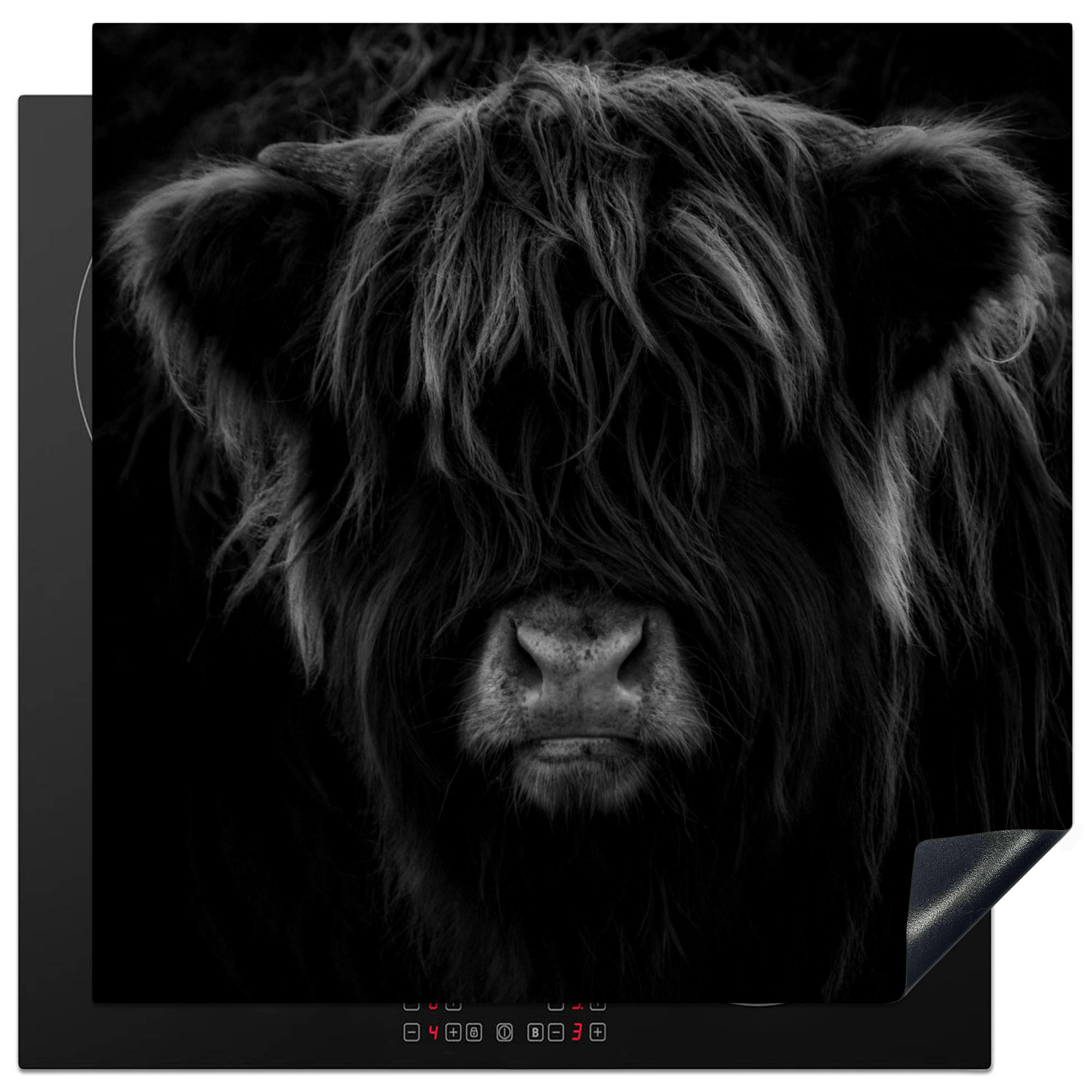 ZAŠČITA ZA INDUKCIJSKO PLOŠČO Višinsko govedo 78x78 cm cm - črna, umetna masa (78/78/0.2cm) - MuchoWow