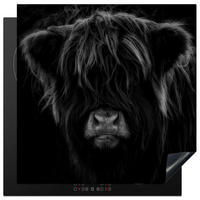 HERDABDECKPLATTE Schottischer Highlander - Kuh - Schwarz - Weiß - Tiere Induktionsmatte 78x78 cm - Schwarz, Kunststoff (78/78/0.2cm) - MuchoWow