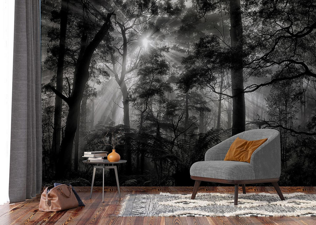 FOTOTAPETE bewaldete Landschaft 375 x 270 cm - Schwarz, Papier (375/270cm) - Sanders & Sanders
