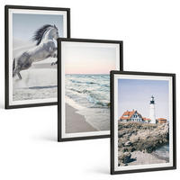 BILDER SET 3er Set - 40x60 cm Schwarzer Rahmen - Pferde, Strand, Leuchtturm, Wellen - Schwarz, Kunststoff (40/60cm) - TULUP