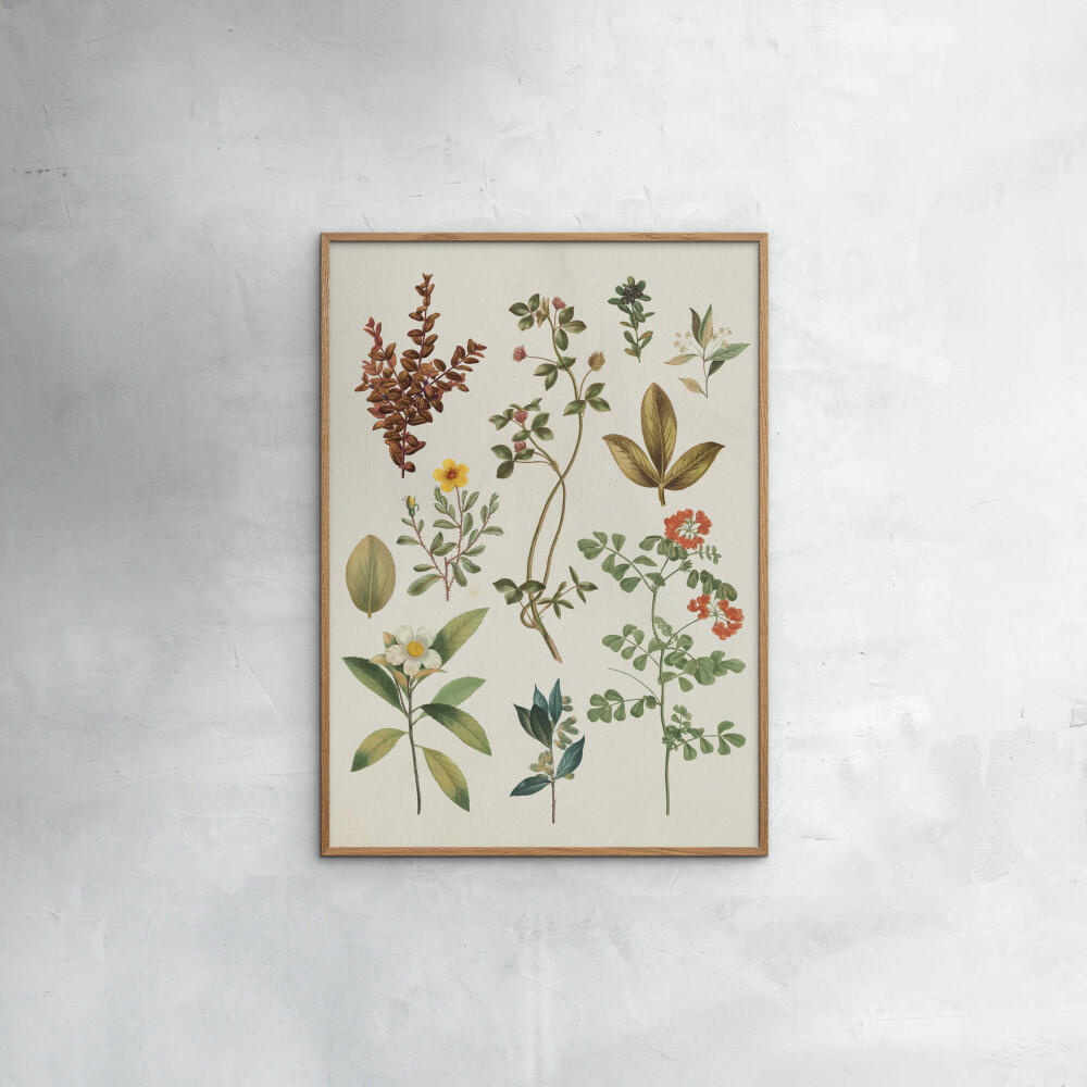 POSTER Wild Apple - Victorian Garden III - Grün, Papier (50/70/0.1cm) - Poster&Frame