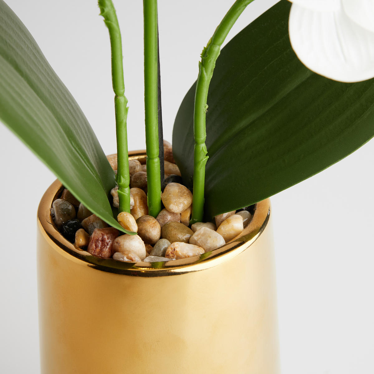 KUNSTPFLANZE Orchesso - Weiß, Kunststoff (57cm) - home&you