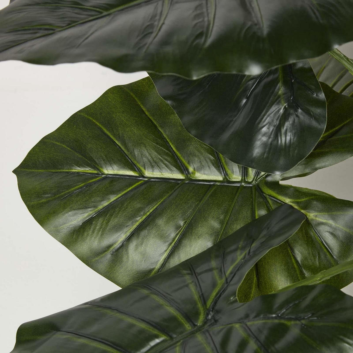 KUNSTPFLANZE Taro, 90 cm - Grün, Kunststoff (90cm) - Homescapes