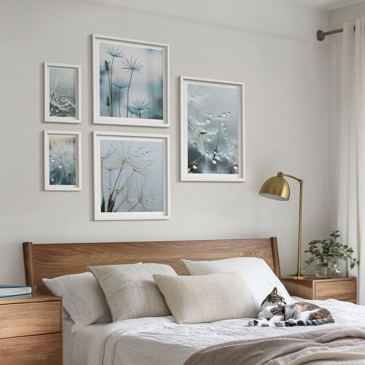 WANDBILDER 5er-Set - 50x50 cm & 20x30 cm & 40x60 cm Weißer Rahmen - Wassertropfen auf Löwenzahnsprossen - Weiß, Kunststoff (40/60cm) - ArtPrintCave