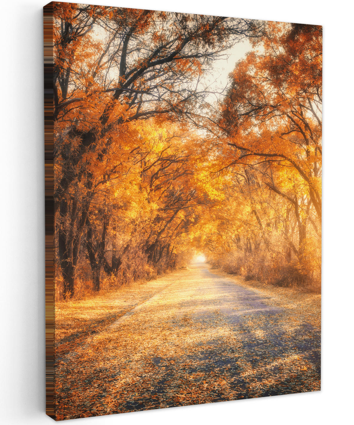 LEINWANDBILD Wald - Herbst - Bäume - Waldweg - Natur 60x80 cm - Bernsteinfarben, Textil (60/80cm) - MuchoWow