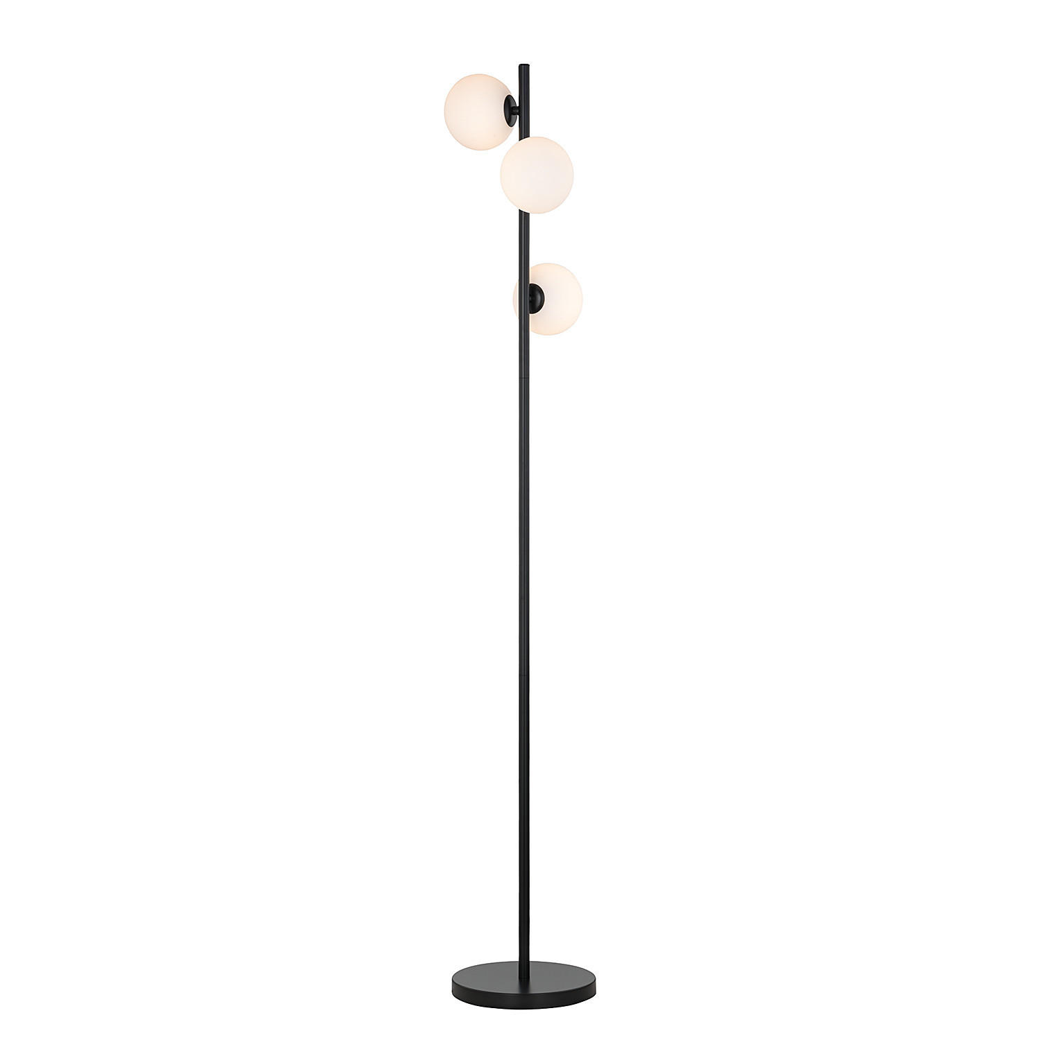 STEHLEUCHTE - Metall - Schwarz, Glas (28/28/153cm) - home24