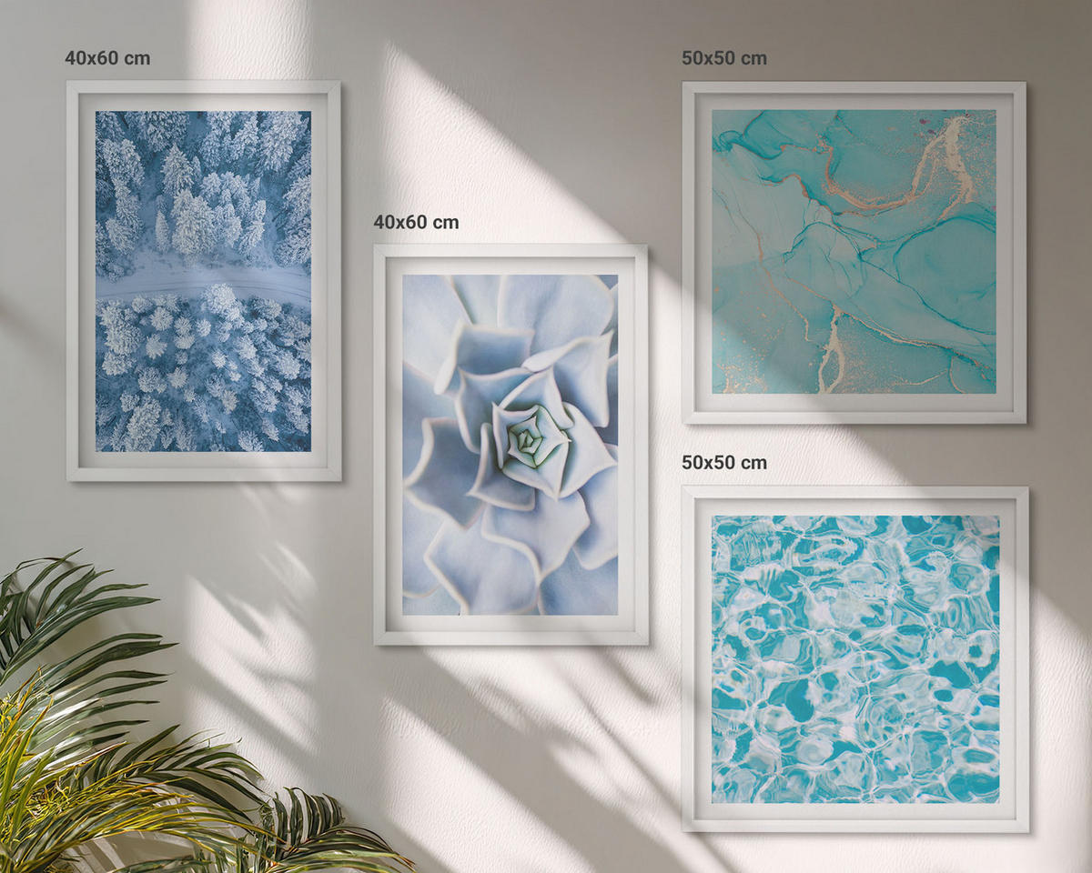 WANDBILDER 4er-Set - 50x50 cm & 40x60 cm Weißer Rahmen - Winterwald-Blaublume - Weiß, Kunststoff (50/50cm) - ArtPrintCave