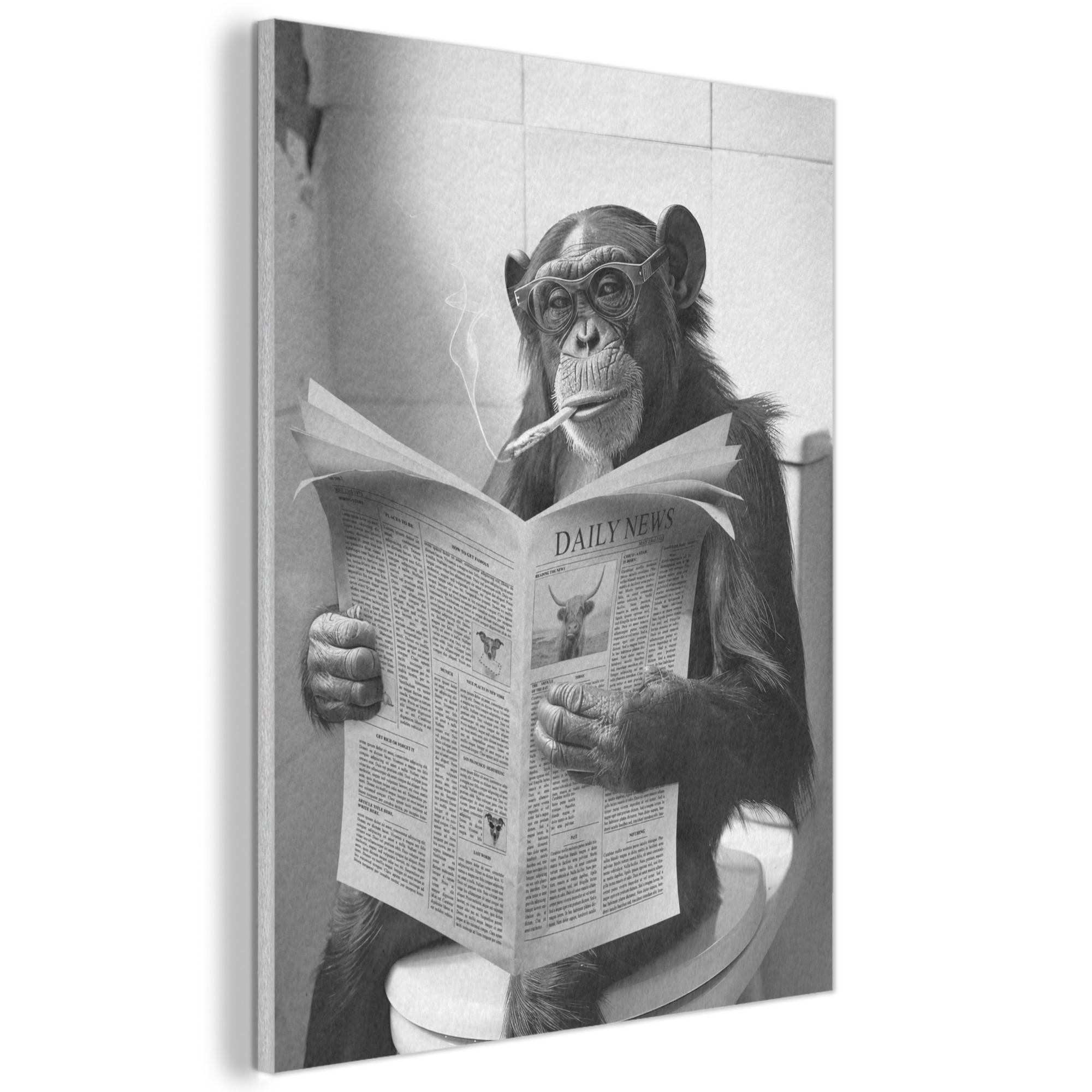 AKUSTIKBILD Affe - WC - Zeitung - Schwarz-Weiß - Humor Wandbilder 60x80 cm - Hellgrau, Kunststoff (60/80/0.9cm) - MuchoWow