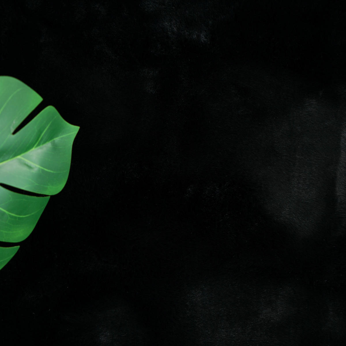 FELLTEPPICH CLOUD SUPER SOFT 200/200 cm Schwarz - Schwarz, Textil (200/200cm) - Consilio Concept