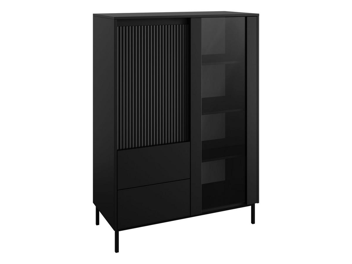VITRINE Ozmi 2D2SZ - Schwarz, Holzwerkstoff/Metall (104/146/50cm) - MIRJAN24