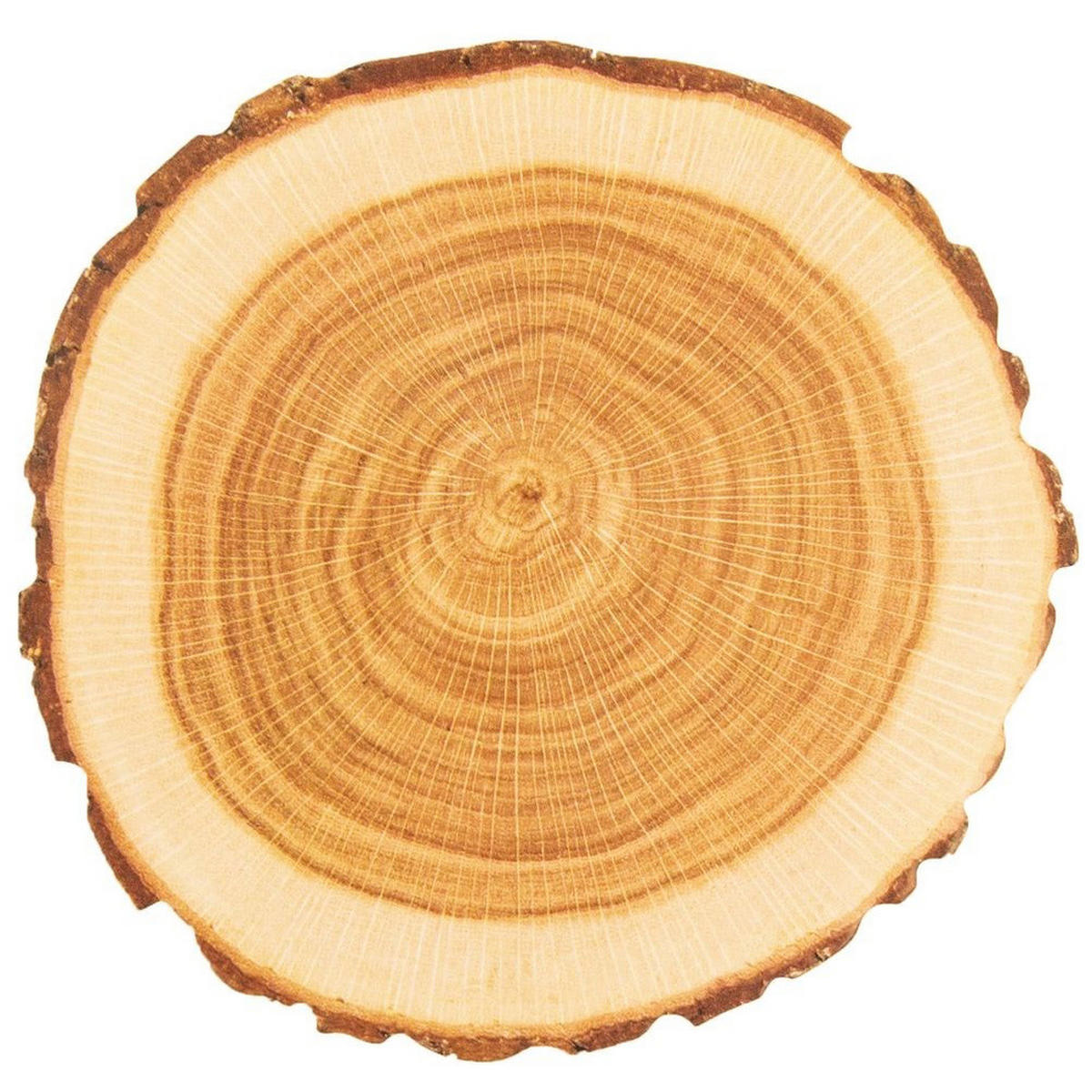 TASSENUNTERSETZER-SET, Karton, Holzoptik, 10 Stk., 10 cm - Braun, Papier (10cm) - Orion 
